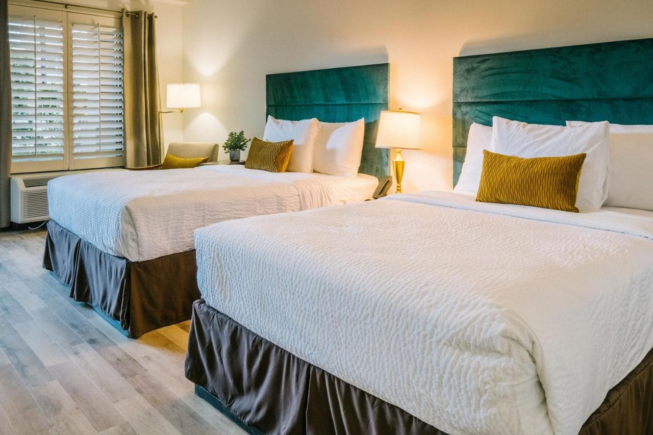 Double Room,1174704192:JPEG