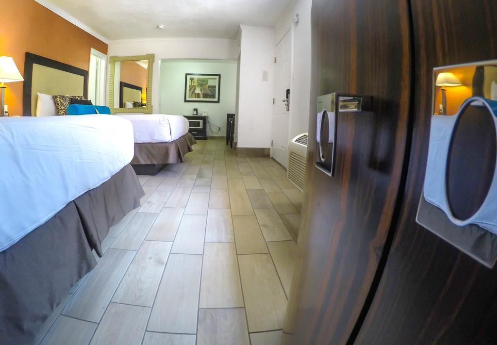 2 Queen Suite,446491812:JPEG