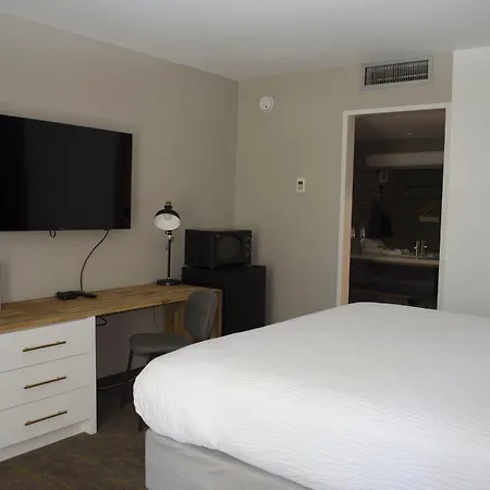 Vagabond Motor Hotel - Palm Springs-2