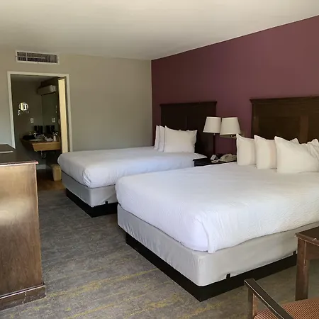 Vagabond Motor Hotel - Palm Springs-3