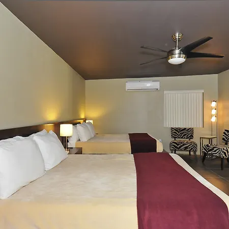 Bearfoot Inn - Clothing Optional Hotel For Gay Men-2